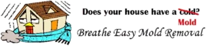 Breathe Easy Mold Removal Inc logo