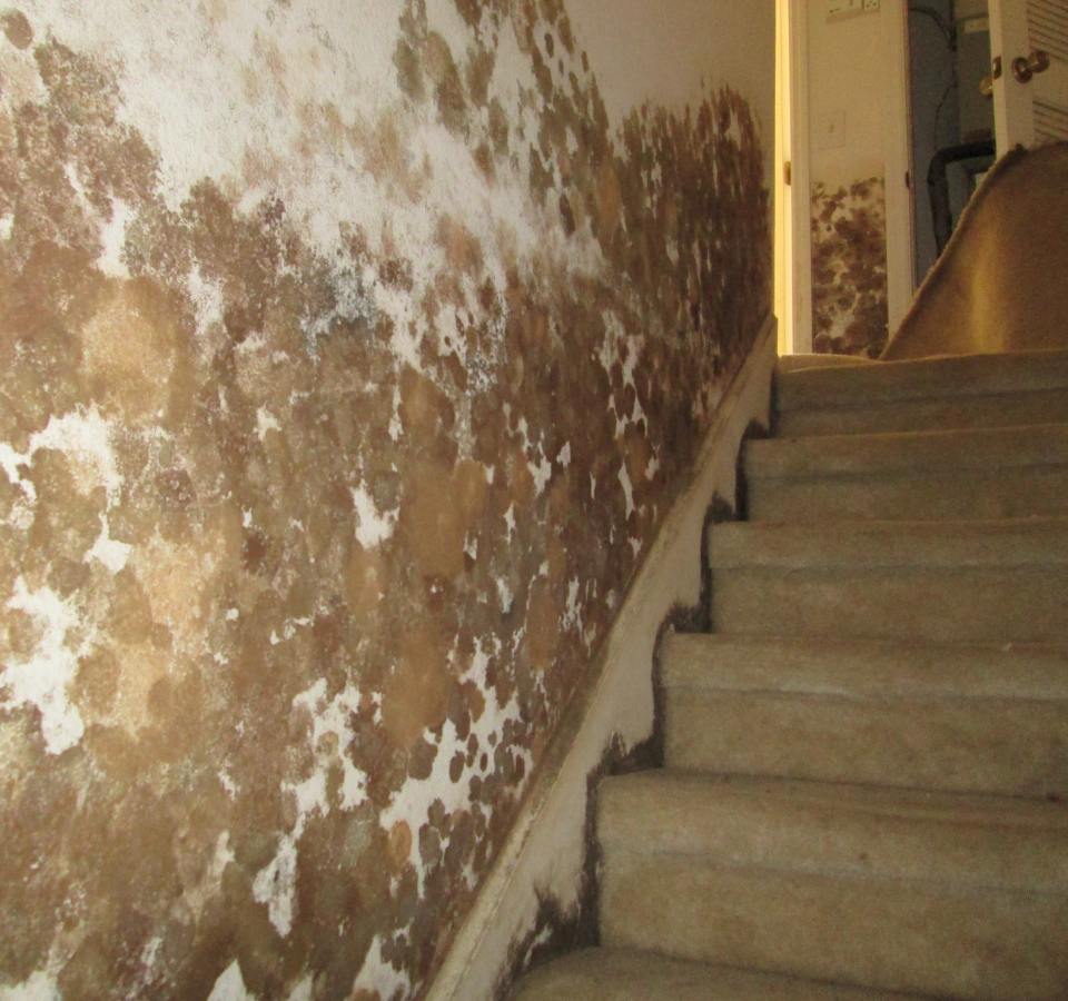 a stairwell with molds