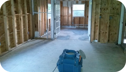 Ongoing Mold Remediation